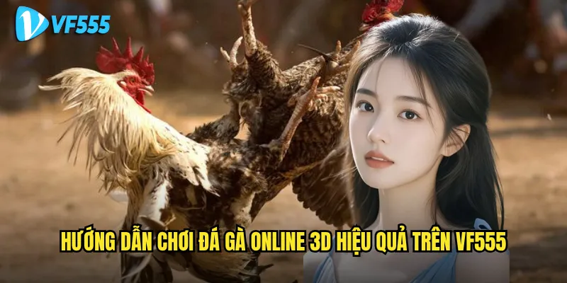 Đá gà online 3D vf555 có mang lại cảm giác chân thực? 3 Hướng dẫn chơi đá gà online 3D hiệu quả trên vf555
