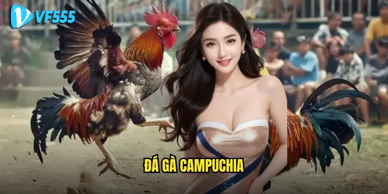 đá gà Campuchia