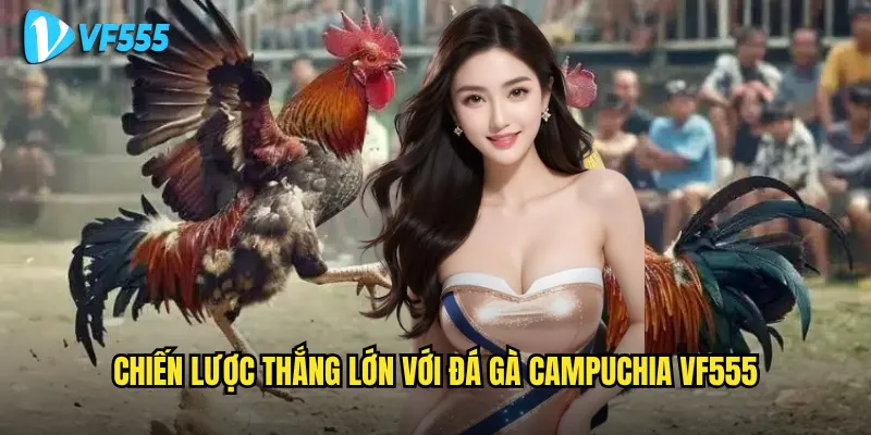 Có nên tham gia đá gà Campuchia vf555 để kiếm lời? 3 Chiến lược thắng lớn với đá gà Campuchia vf555