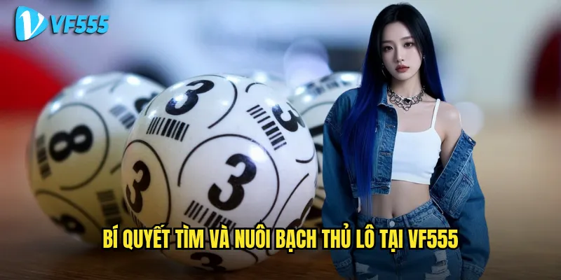 Bạch thủ lô vf555 có phải là con đường ngắn nhất đến thành công? 3 Bí quyết tìm và nuôi bạch thủ lô tại vf555