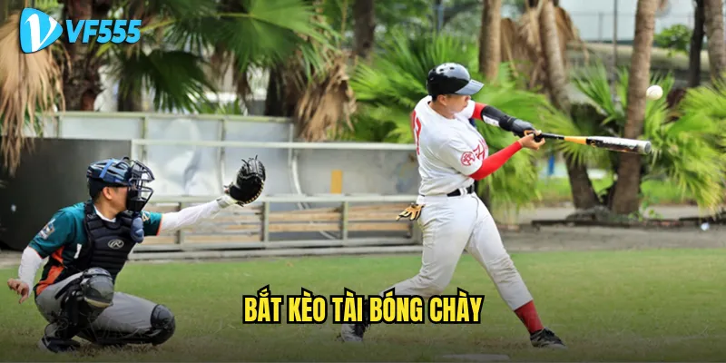 Muốn bắt kèo tài bóng chày vf555 thành công cần lưu ý gì? 5 bắt kèo tài bóng chày