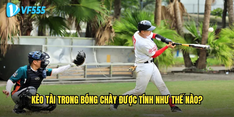 Muốn bắt kèo tài bóng chày vf555 thành công cần lưu ý gì? 2 Kèo tài trong bóng chày được tính như thế nào?