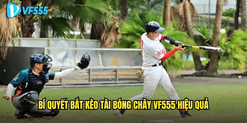 Muốn bắt kèo tài bóng chày vf555 thành công cần lưu ý gì? 3 Bí quyết bắt kèo tài bóng chày vf555 hiệu quả