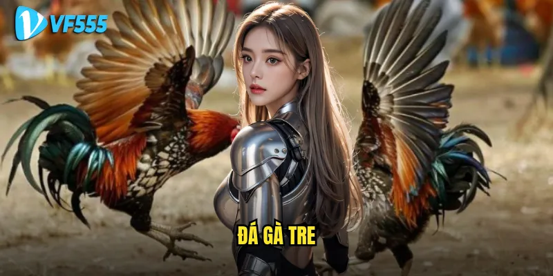 đá gà tre