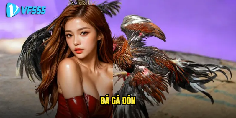 đá gà đòn