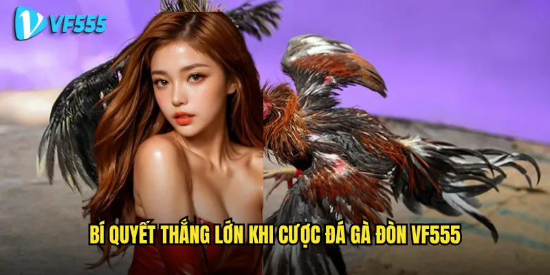 Làm sao để nhận biết đá gà đòn vf555 chất lượng cao? 3 Bí quyết thắng lớn khi cược đá gà đòn vf555